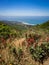 Montara Beach as see from near Montara Peak with Indian Paintbrush Flowers