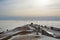 Monte grappa war memorial winter view, Italy