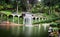 Monte Tropical Gardens with waterfall to lake, Funchal, Madeira island, Portugal