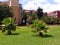 Montenegro, Budva - brick villas, green lawn with palm trees