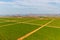 Montenegro vineyards - aerial