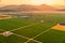 Montenegro vineyards field - aerial