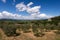 MONTEPULCIANO, TUSCANY/ITALY - MAY 17 : View of San Biagio church Tuscany near Montepulciano Italy on May 17, 2013