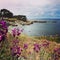 Monterey Bay coastal landscape