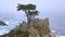 MONTEREY, CALIFORNIA, UNITED STATES - OCT 6, 2014: The Lone Cypress, seen from the 17 Mile Drive, in Pebble Beach, CA