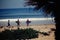 MONTEREY, UNITED STATES - Jun 20, 2012: Surfers and dogs in front of the pacific ocean in Monterey