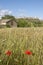 Monteriggioni countryside, Tuscany Italy