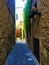 Monterubbiano town, Fermo province, Marche region, Italy. Narrow street, path, ivy and magic