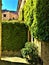 Monterubbiano town, Fermo province, Marche region, Italy. Narrow street, path, ivy and magic
