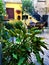 Monterubbiano town, Fermo province, Marche region, Italy. Splenid yard, enchanting corner and plants