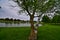 Montesian spring lake in Monticello WI artesian well Island birch tree