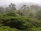 Monteverde Cloud Forest in Costa Rica