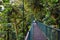 Monteverde Cloud Forest Reserve, hanging, suspended bridge,  treetop canopy views, Costa Rica