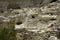 Montezuma Castle National Monument