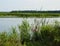 Montezuma marshland view from scenic car ride trail