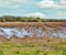 Montezuma National Wildlife Refuge