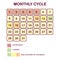 The monthly cycle of a woman. Menstruation and ovulation. Planning pregnancy and family. Days favorable for conception.