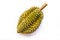 Monthong Durian on white background