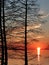 Monticello reservoir in south carolina at sunset