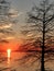 Monticello reservoir in south carolina at sunset