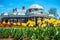 Monticello Tulip Garden