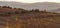 Montichiello - Tuscany/Italy: October 29, 2017: Winding Cypress lined road in Monticchiello