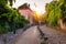 Montmartre district of Paris. Houses on narrow road in Montmartre district of Paris. View of cozy street in quarter Montmartre in