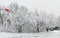 Montreal City Flag with Snow Covered Trees