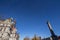 Montreal City Hall, also called Hotel de Ville, taken during a sunny afternoon next to nelson`s column.