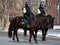 The Montreal mounted patrol officers