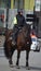 The Montreal mounted patrol officers