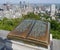 Montreal, view from Mount Royal