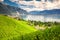 Montreux city with Swiss Alps, lake Geneva and vineyard on Lavaux region, Canton Vaud, Switzerland, Europe