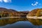 Montseny deep forest colorful autumn in Catalonia, Spain