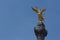 Monument of Angel of independence in Mexico in close up