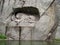 Monument `The Dying Lion` in Lucerne. Switzerland. High relief carved in a steep rock behind an oval pond. The dying lion lies wit