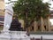 Monument of King Chulalongkorn Rama V in the garden of Wat Ratchabophit temple. Bangkok, Thailand