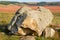 The monument of nature is megalith `Horse Stone` Kon kamen in the valley of the Krasivaya Mecha River