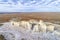 Monument Rocks in western Kansas prairie