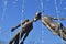 Monument to lovers in Kharkov, Ukraine - is an arch formed by the flying, fragile figures of a young man and a girl, merged into