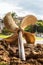 Monument to the sailors and fishermen . Propeller of a boat.