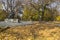 Monument to Taras Shevchenko among the fallen leaves. Chernihiv city.Ukraine