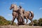 Monument to Ukrainian Cossack horse