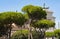 Monument to Victor Emmanuel II or Vittoriano, Rome, Italy. It is landmark of Rome. Beautiful view of Memorial of