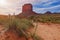 Monument Valley, Navajo tribal park, famous desert landscape, USA - springtime and blooming yuccas