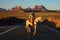 Monument Valley, Utah, USA, November 3rd, 2019, Native Navajo wearing traditional American cowboy with horses