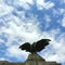 Monumental Cemetery of Turin city, Italy. Art, history and memory