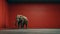 Monumental Elephant: A Minimalist Photography Masterpiece In 8k