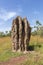 Monumental termite mound in Kakadu National Park, Northern Australia, on a beautiful sunny day