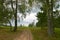 Monuments in Borodino battle fields